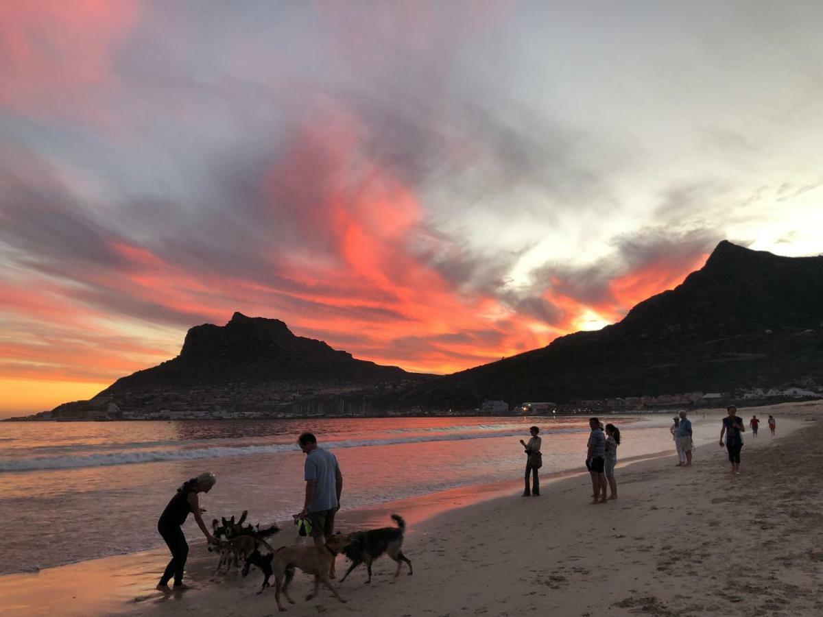 Studio On Albert, Hout Bay Ngoại thất bức ảnh
